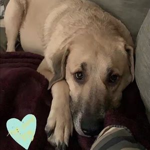 Meet your Posher, Joshua